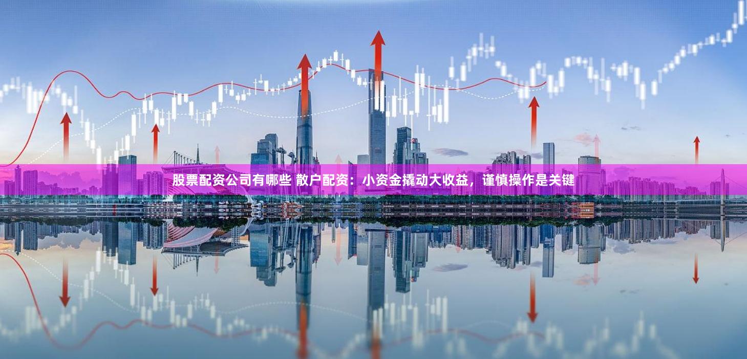 股票配资公司有哪些 散户配资：小资金撬动大收益，谨慎操作是关键