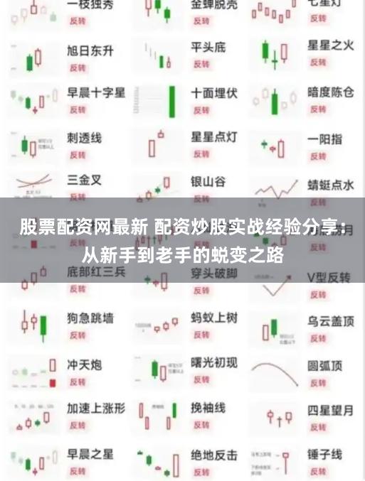 股票配资网最新 配资炒股实战经验分享：从新手到老手的蜕变之路