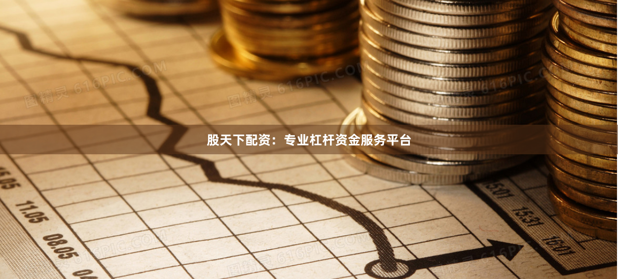 股天下配资：专业杠杆资金服务平台
